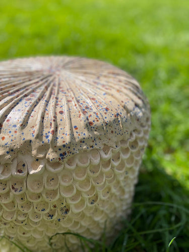 Kunstfestival Wondergronds