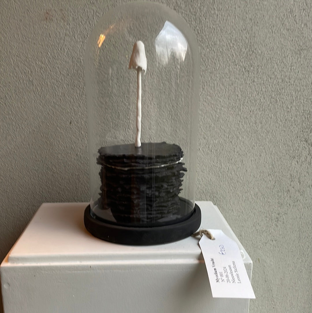 Mycelium vrucht nr 1