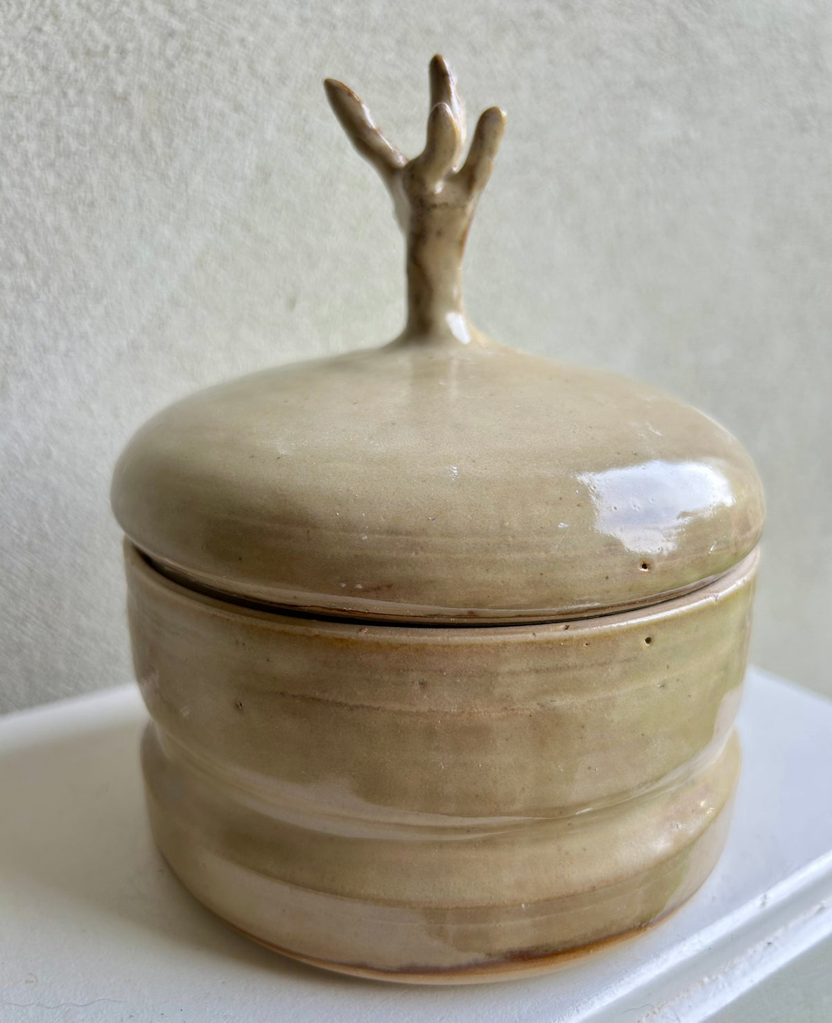 Lidded box with upside down tree