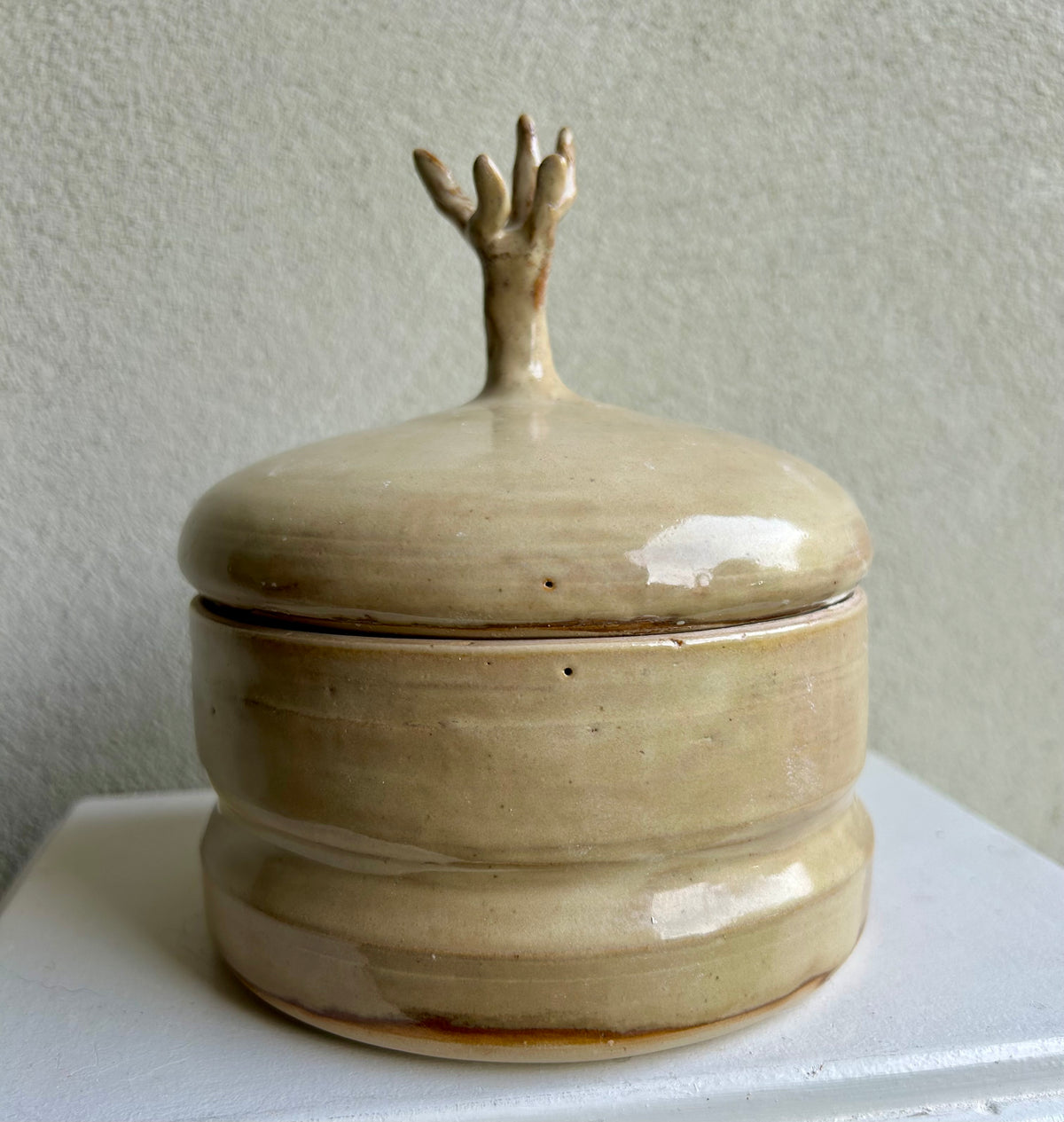 Lidded box with upside down tree