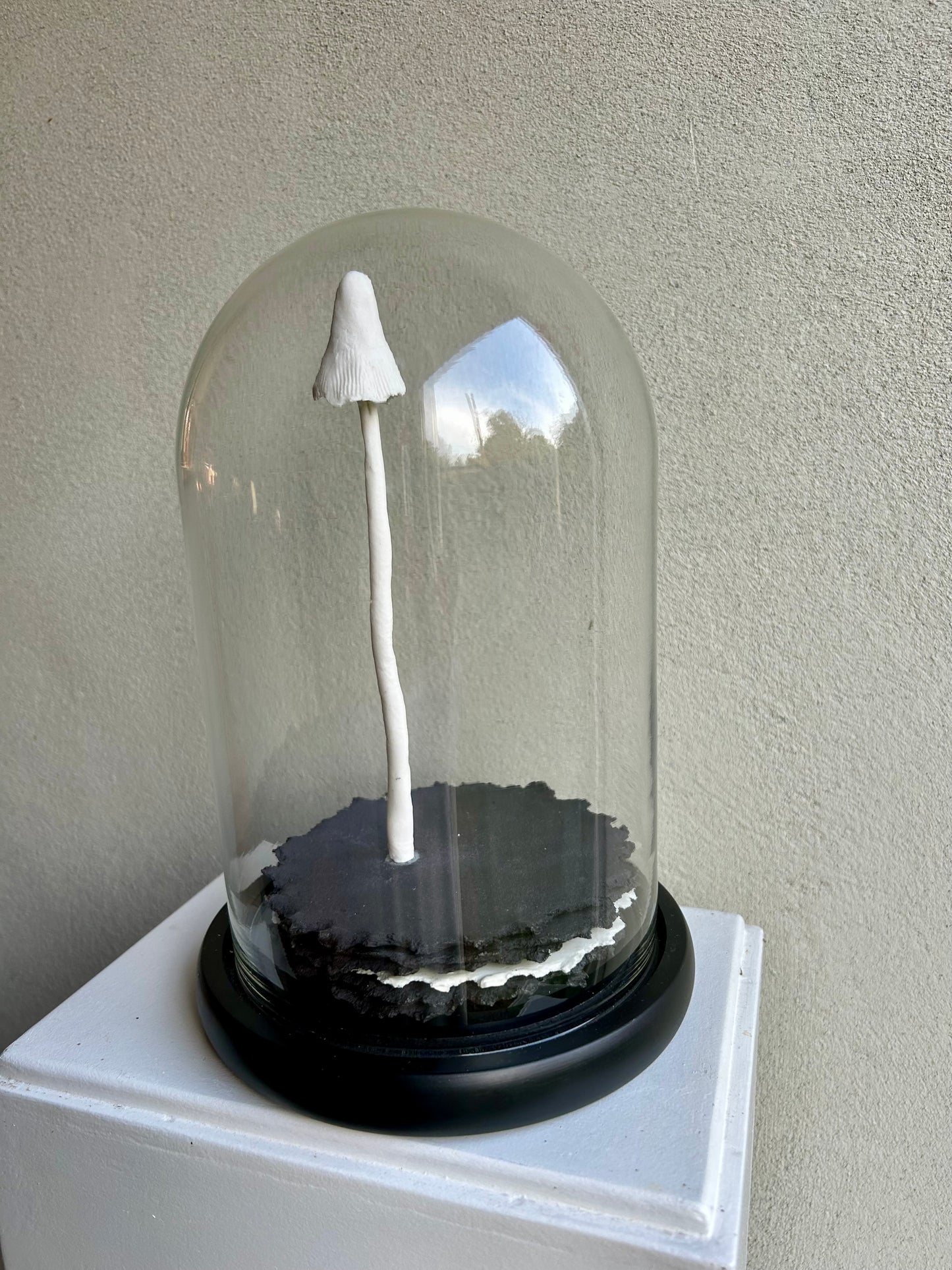 Mycelium vrucht 4