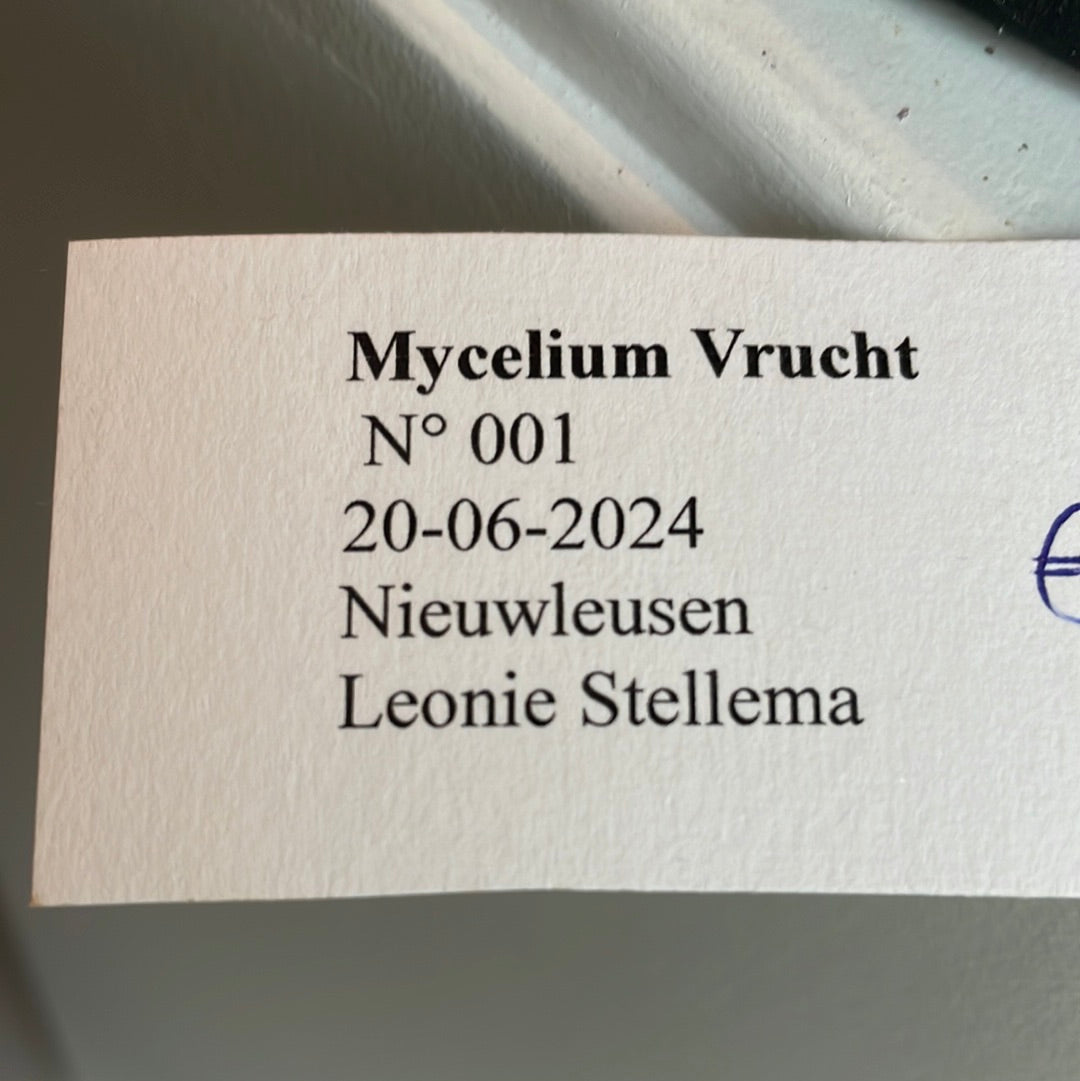 Mycelium vrucht nr 1