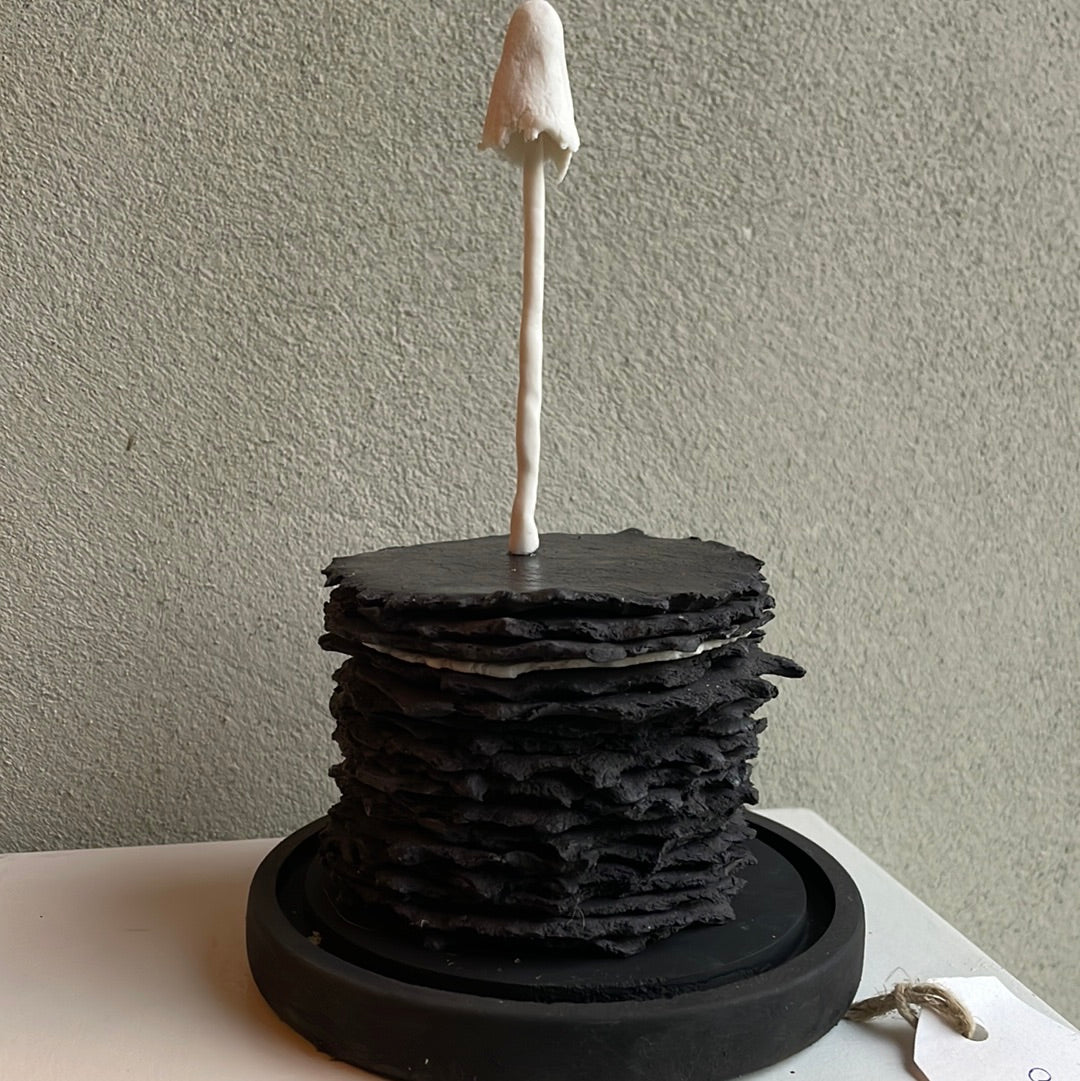 Mycelium vrucht nr 1