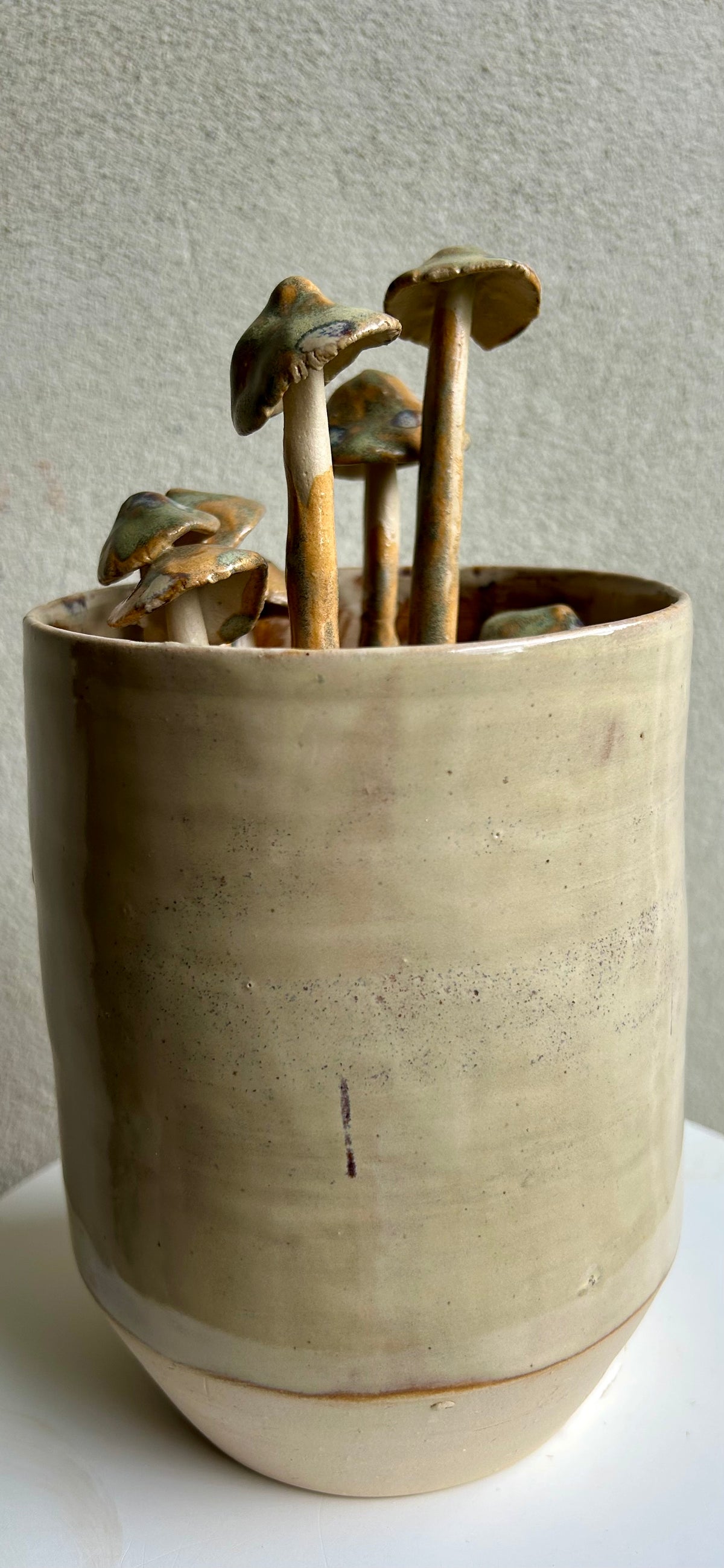 Vaas met paddenstoelen