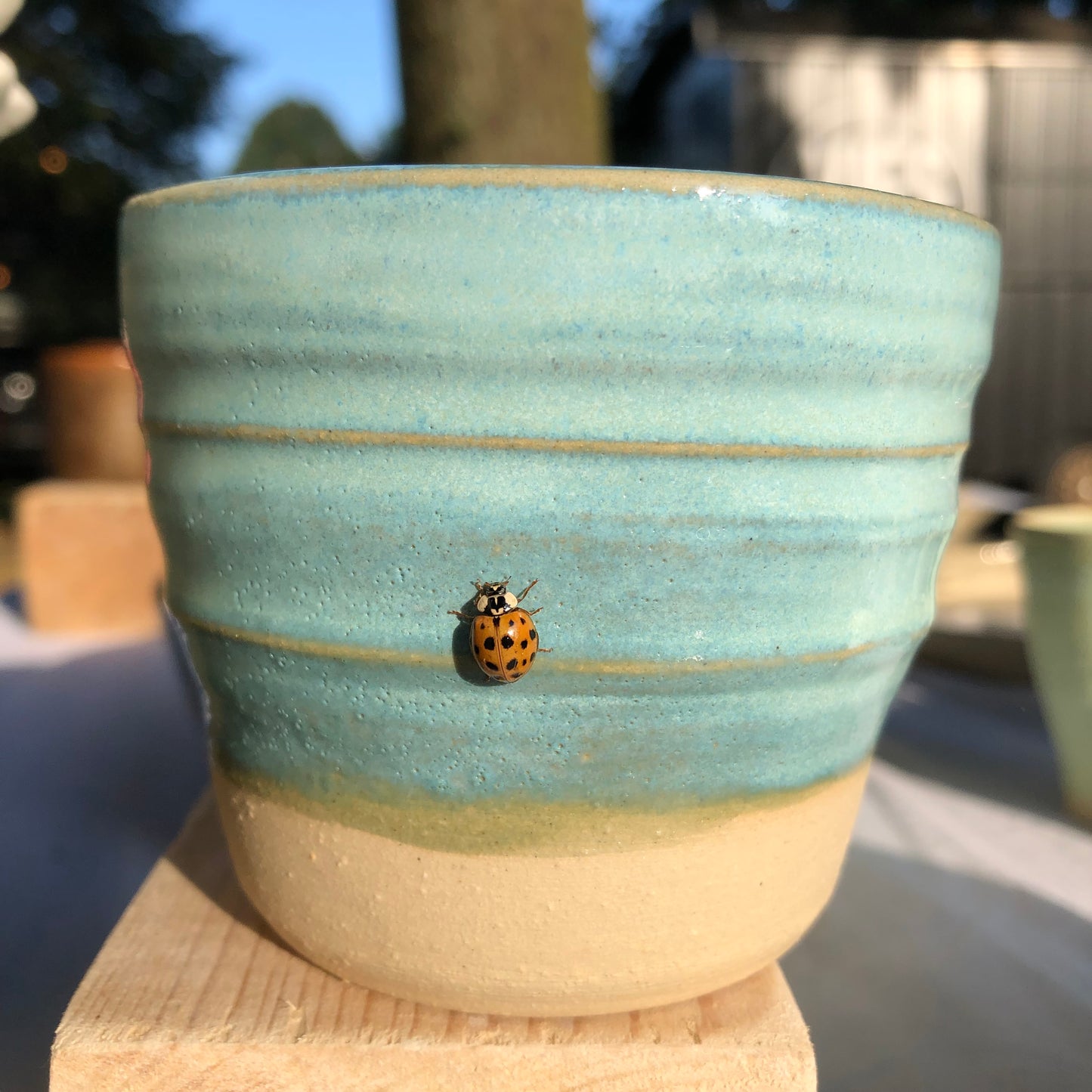 5 lessen draaien voor beginners